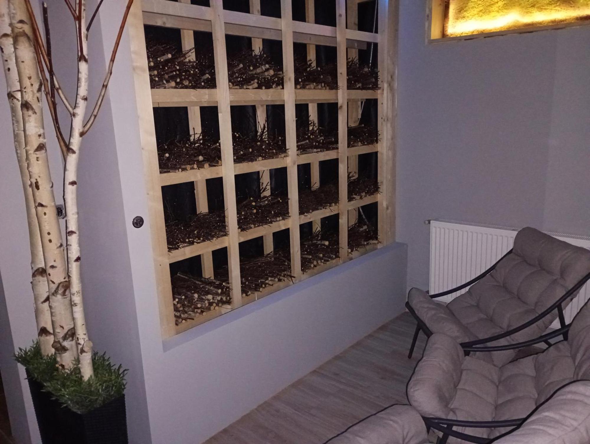 Aparthotel Good Night Noclegi & Strefa Z Sauna I Jacuzzi Ogolnodostepna Lub Na Wylacznosc Czechowice-Dziedzice
